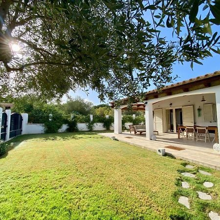 Willa La Casa Dell Olivo Castiadas Zewnętrze zdjęcie